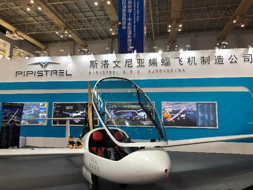 高技術與特色產品亮相中東歐博覽會，推動國際技術開發合作